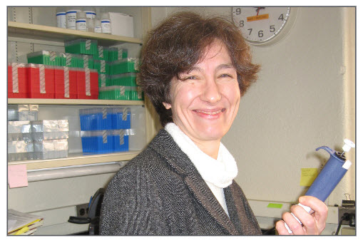 以下为替代文本