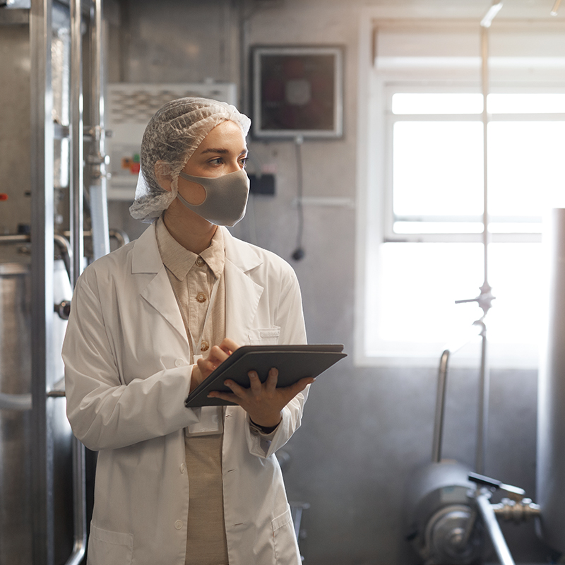 food safety inspection