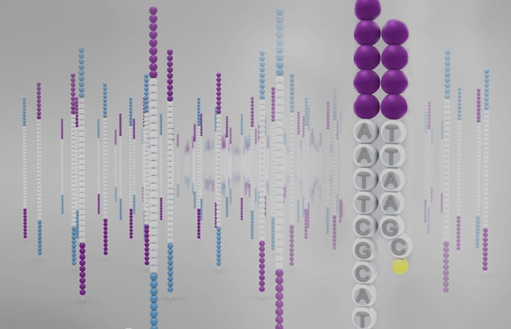 Labeled Nucleotide Addition During SBS