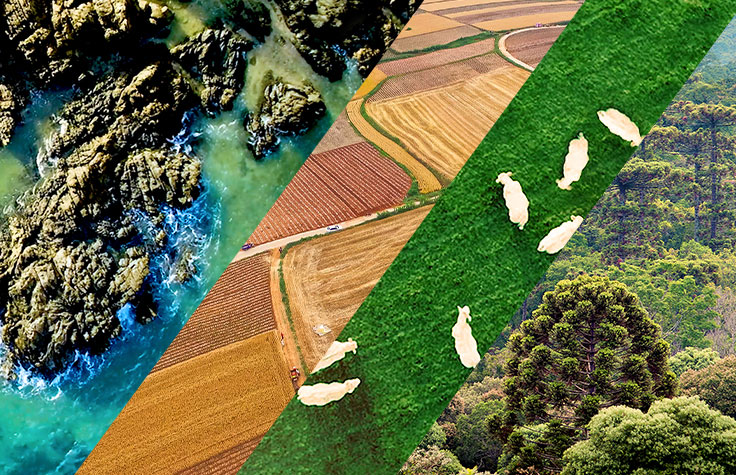 NovaSeq 6000对全球基因组学领域的贡献