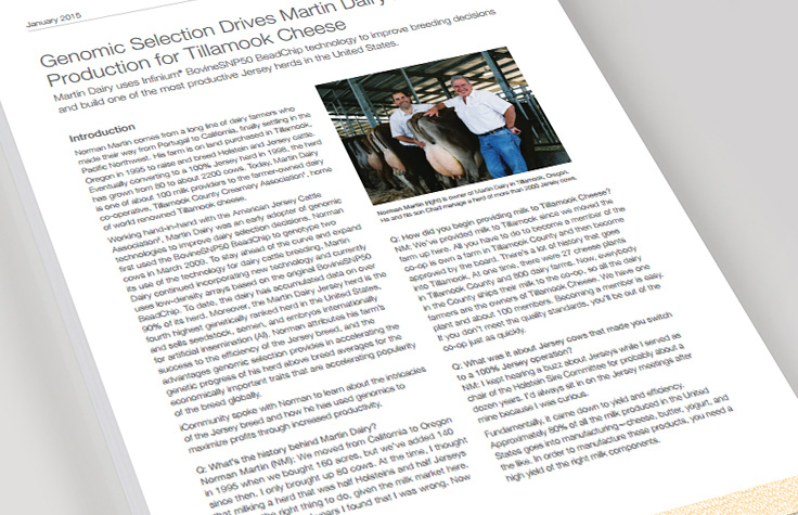 牛基因分型提升了牛奶产量