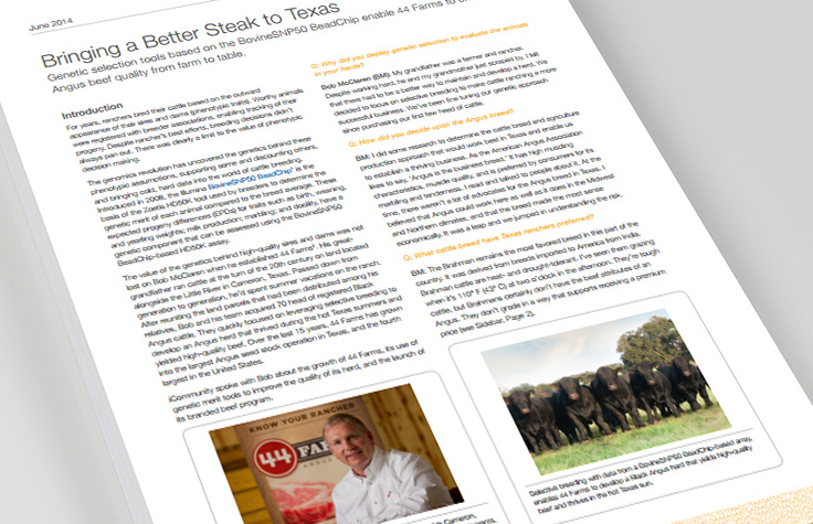 给德克萨斯带来质量更佳的牛排。