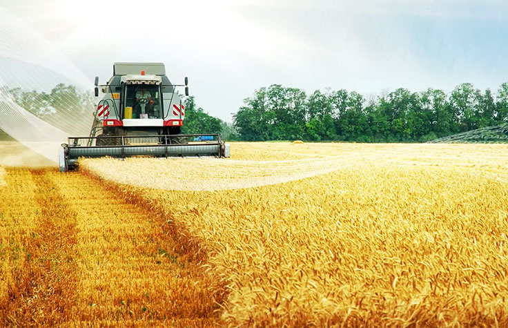 引入NGS到农业应用