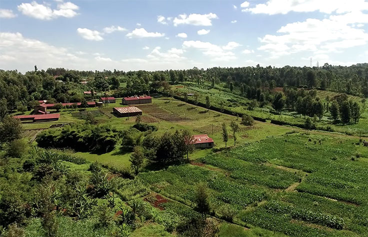 通过测序进行基因分型