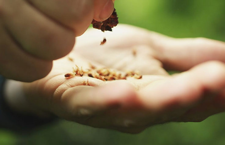 澳大利亚新物种测序研究