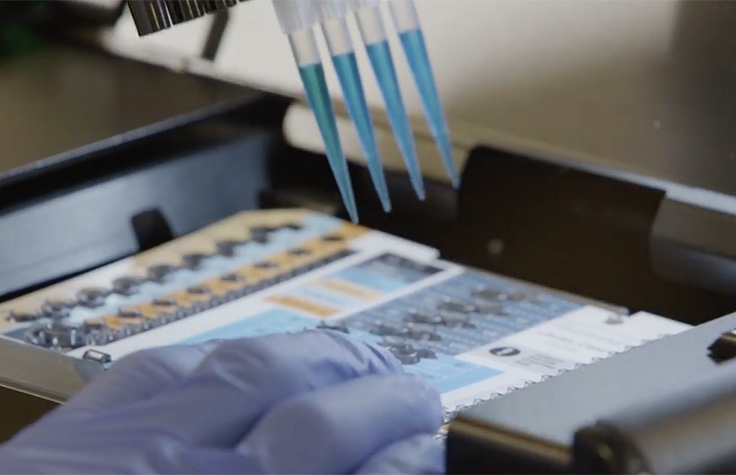 自动化宏基因组分析方法