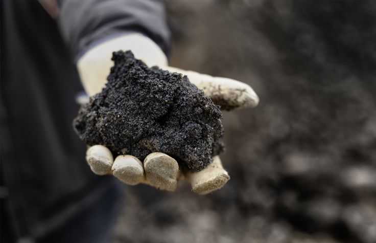 The future of sustainable mining belongs to the microbe