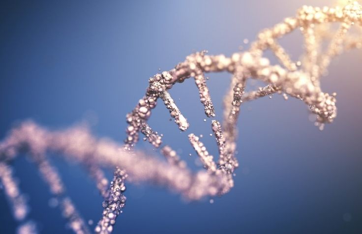 DRAGEN在PrecisionFDA Truth Challenge挑战赛上大放光彩