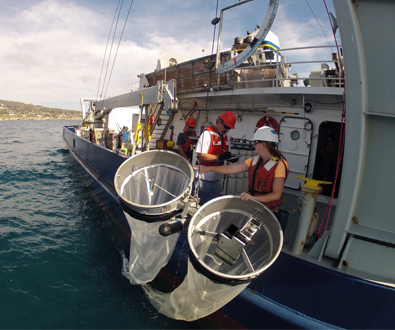 Seafood Offers Opportunity to Feed Growing Human Population 