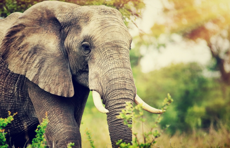 Adventures in Genomics