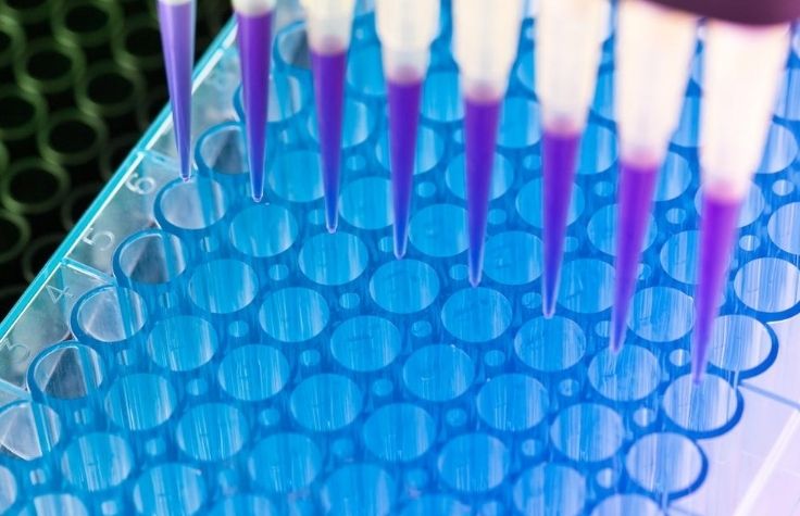 时间就是生命—全新PCR-Free Prep建库试剂加速全基因组测序