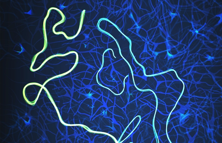 Illumina发布用于突变解读的开源AI软件SpliceAI