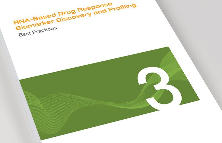 Section 3: Best Practices