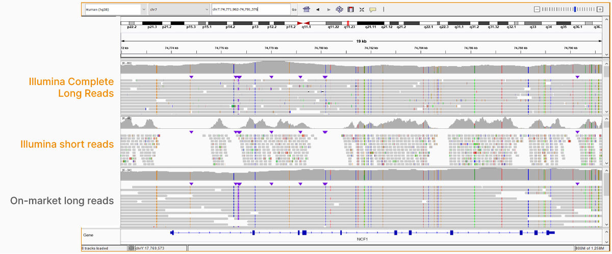 Illumina Complete Long Reads解析假基因和旁系同源物