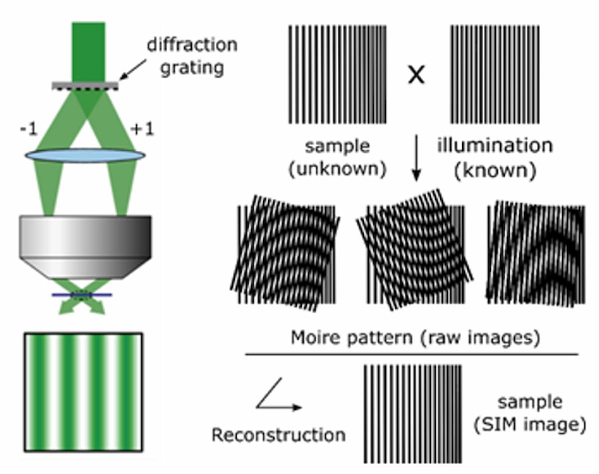 Figure 3: Increasing spatial resolution with SIM 