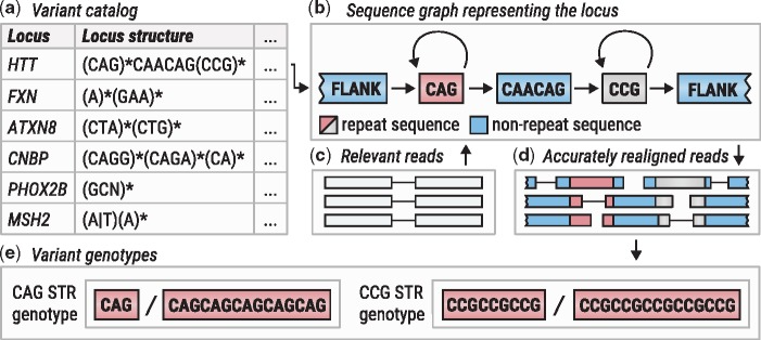 Overview of ExpansionHunter