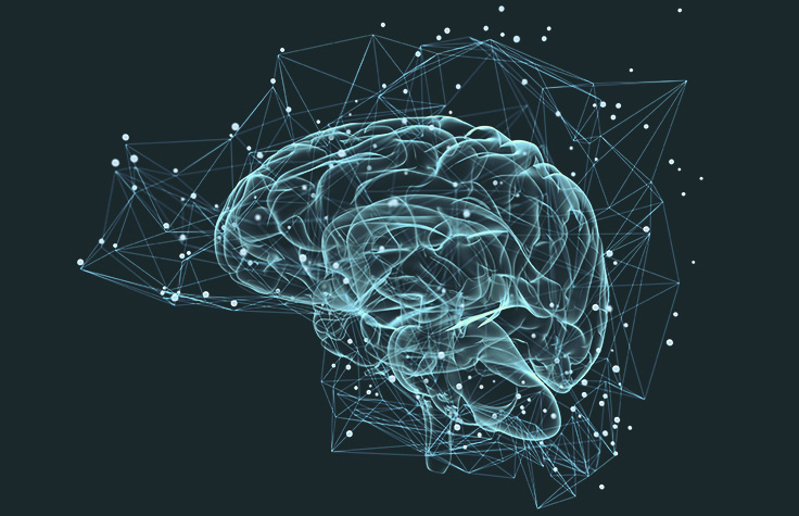 揭示认知控制的遗传因素