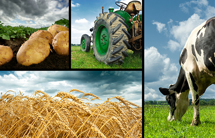 GeneSeek基因分型在家畜和作物上的应用