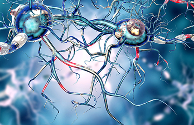 TruSeq Neurodegeneration Panel