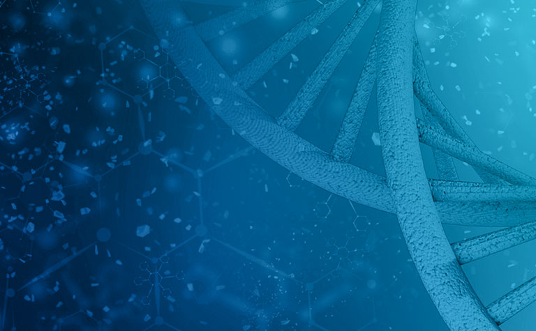 Simplified Variant Annotation and Prioritization