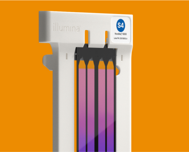 NovaSeq 6000 flow cell