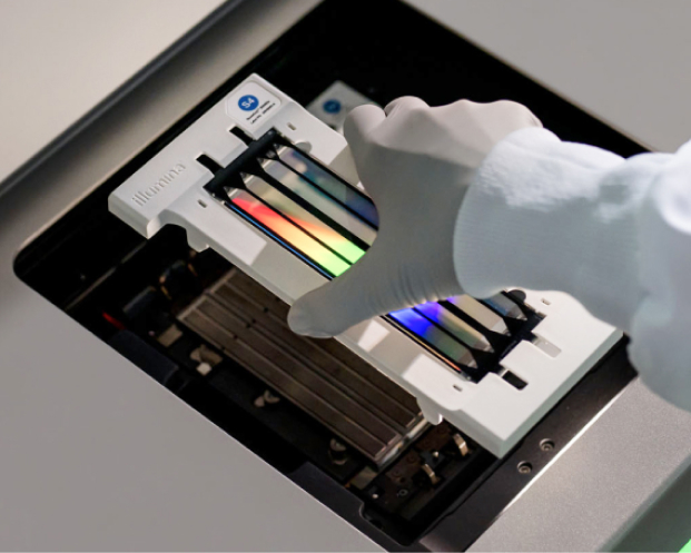 NovaSeq 6000Dx Flow Cells