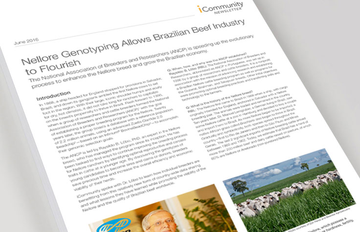 Nellore基因分型促进了巴西养牛业发展