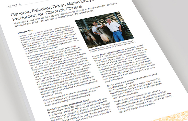 通过牛基因分型提高牛奶产量