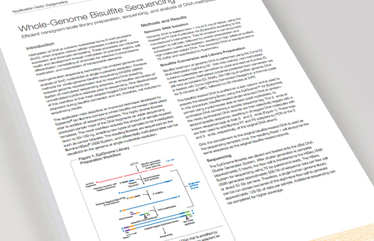 全基因组亚硫酸氢盐测序文库制备