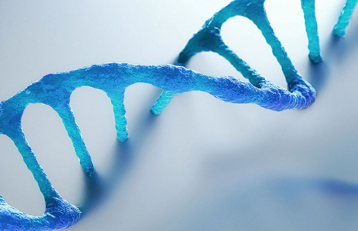 Library Prep for DNA Sequencing