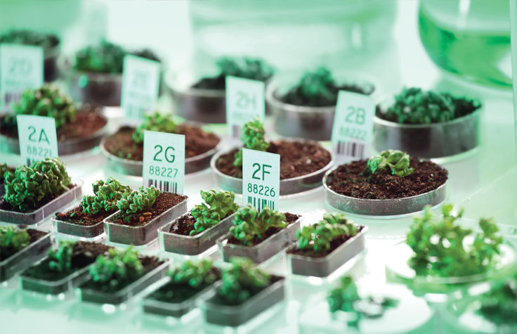 农业基因组学的基因分型