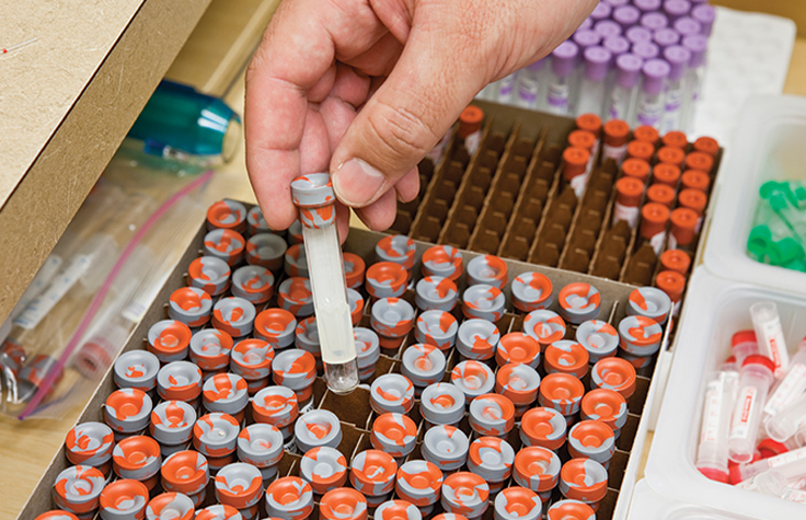 用于基因分型的样本