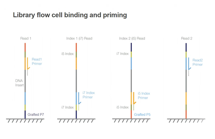 How to plan your first sequencing project