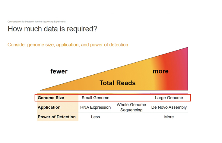 Introduction to sequencing data analysis
