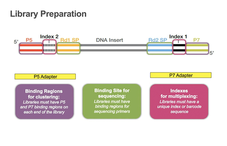 Learn about the Illumina NGS workflow