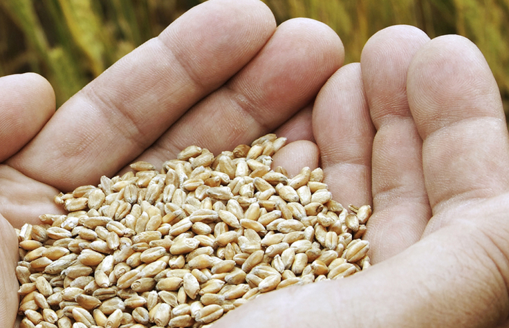 Solutions for applied animal and plant genomics