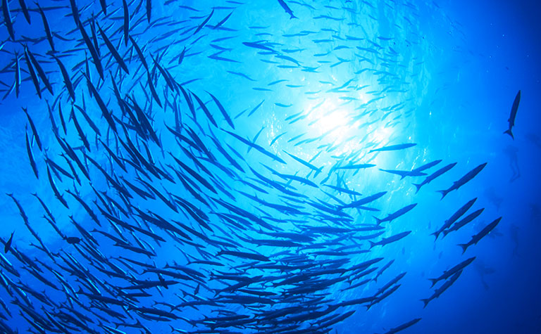 Take a Tour with Professor Michael Bunce