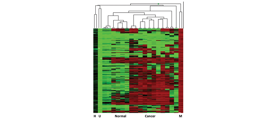 data analysis with GenomeStudio