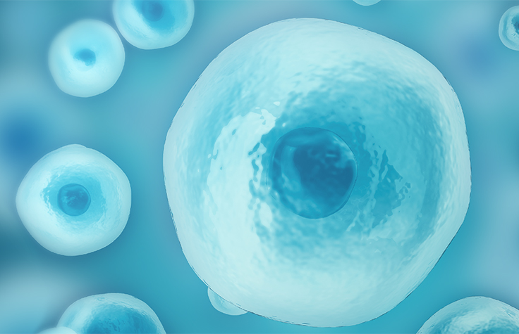 Single cell sequencing